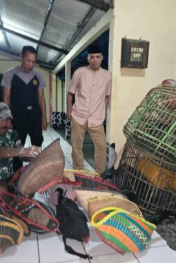 Arena Sabung Ayam di Kebun Bambu Digerebek Polisi, Sejumlah Barang Bukti Diamankan