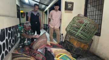 Arena Sabung Ayam di Kebun Bambu Digerebek Polisi, Sejumlah Barang Bukti Diamankan