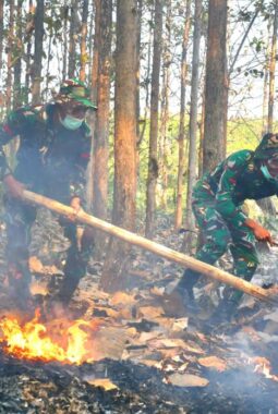 Masuki musim Kemarau, Kodim Wonogiri Gelar Latihan Penanggulangan Bencana Alam Kebakaran Hutan Lahan