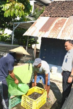 Panen 56 Kilogram Ikan Lele di Lahan SAE, Lapas Kelas IIB Pati Perkuat Pembinaan Kemandirian dan Ketahanan Pangan