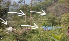 Diduga Tambang Emas Ilegal di Citorek Marak, Hutan Lindung Rusak dan Jalan Provinsi Terancam Putus