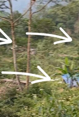 Diduga Tambang Emas Ilegal di Citorek Marak, Hutan Lindung Rusak dan Jalan Provinsi Terancam Putus