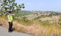 Polres Semarang Pastikan Lahan Hutan di Pringapus Aman, Hasil Pengecekan Tidak Ditemukan Kebakaran