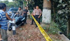 Berniat cari kayu bakar, seorang kakek di Bandungan temukan bayi perempuan.