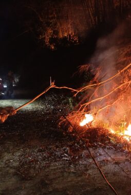 Api bakar Daun kering disertai hembusan angin kencang, bakar lahan milik warga Pabelan.